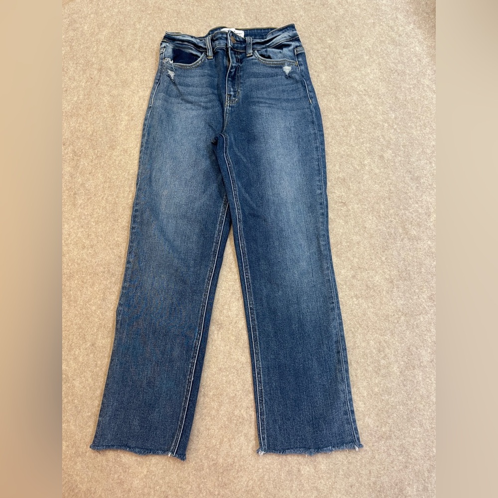 Flying Monkey - Picture 5 of 13